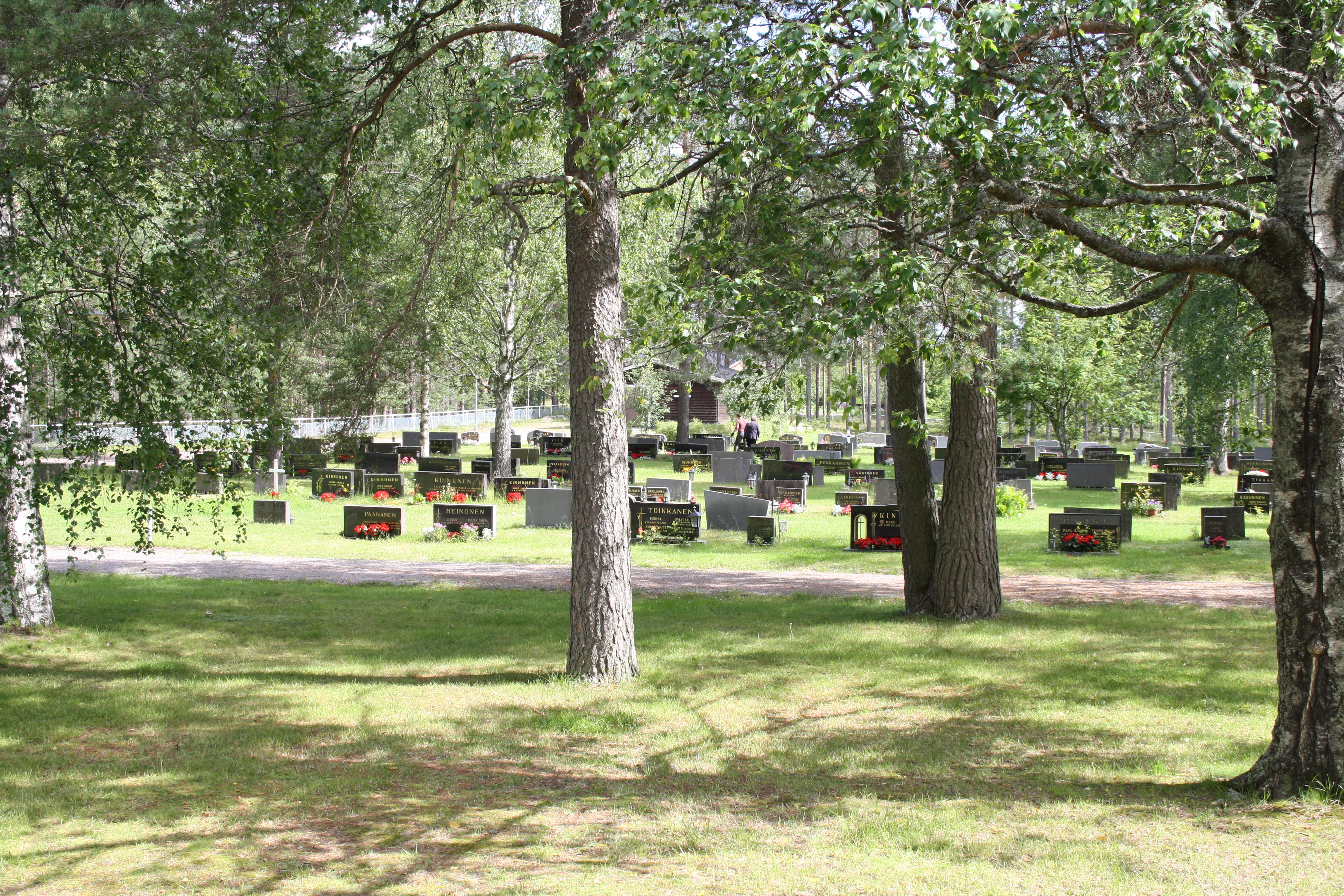 Kuva hautausmaalta kesäaikana, kuvassa nurmea. puita ja hautakiviä